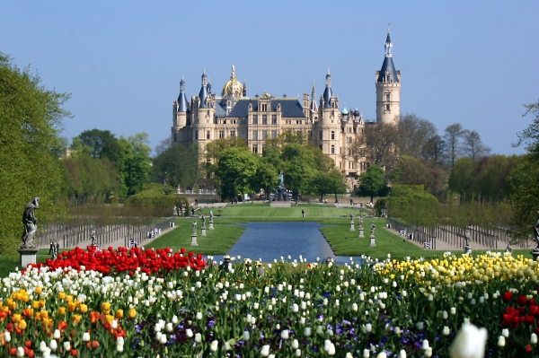 Tulpen, nicht in Holland