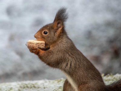 Wenn es nach ihm ging, könnte täglich Weihnachten sein.