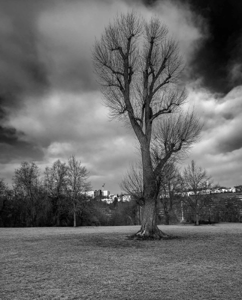 In der schwarz-weiß Fotografie wirkt der Rotfilter meist dramatisch.