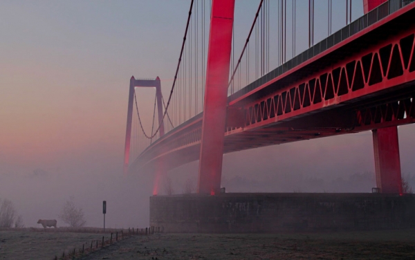 Wenn Nebel das Licht verschluckt