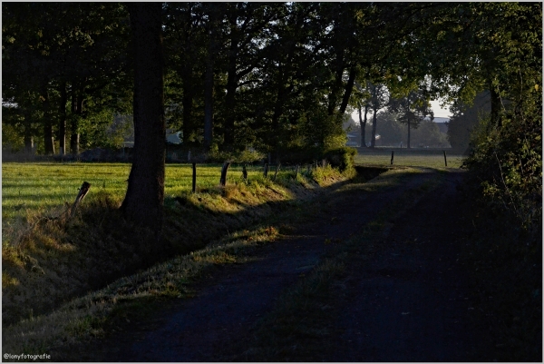 Hinter jedem Schatten fällt auch Licht