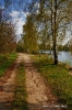 der weg am Fischersee