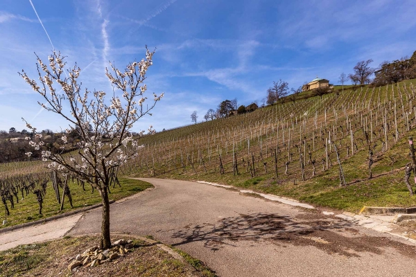 Wunderschönes Wetter und nichts an dem man sich anstecken könnte