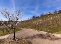 Wunderschönes Wetter und nichts an dem man sich anstecken könnte