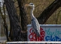 Als er mich entdeckte versteckte er schnell seine Farb-Spraydosen