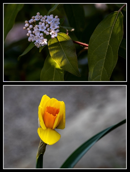 Die ersten Sonnenstrahlen und die Natur erwacht