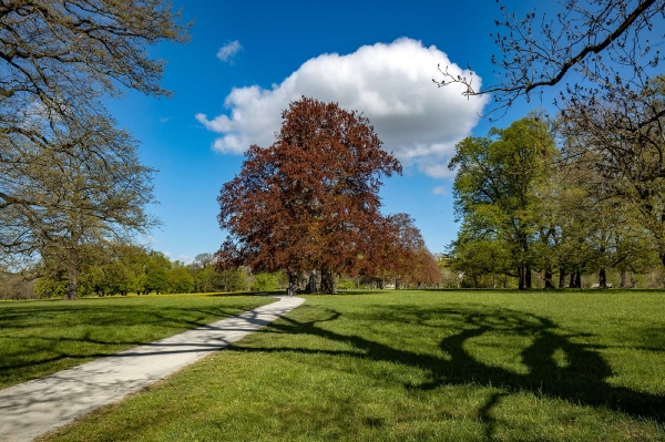 Heute bin ich durch den kompletten Rosensteinpark gelaufen, das sind 5 Kilometer pro Richtung