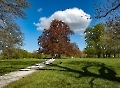 Heute bin ich durch den kompletten Rosensteinpark gelaufen, das sind 5 Kilometer pro Richtung