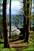 Der Weg zum Naturstrand an der Ostsee