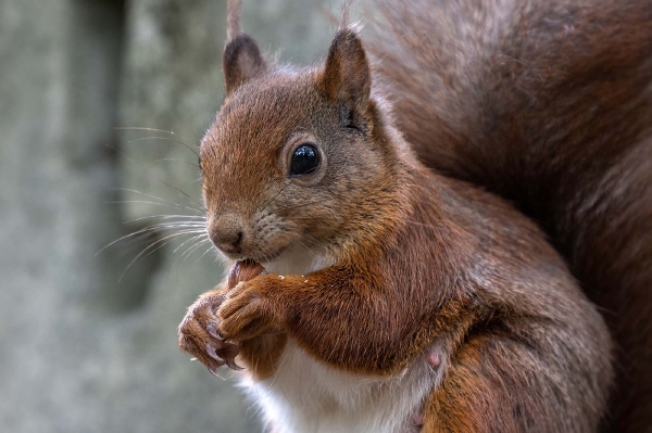 Hauptsache es schmeckt!