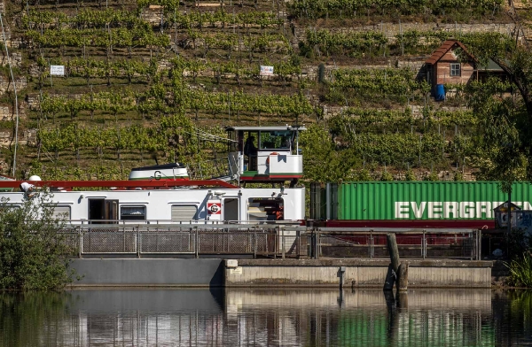 Vorsicht Frachtkahn im Weinberg!