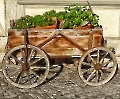 Blumenwagen