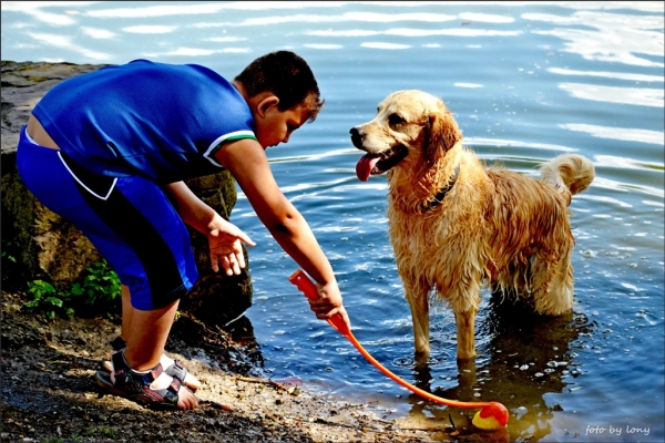 Das macht dem Hund laune