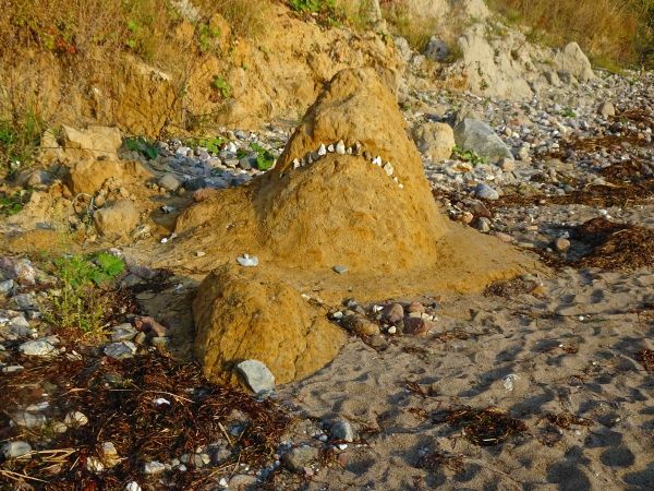 der Weiße Hai an der Ostsee