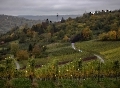 So ein herbstlicher Regentag