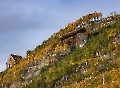 In den Wein-Terrassen wird es jetzt richtig bunt