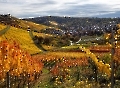 Dies sind für mich die schönsten Herbsttage