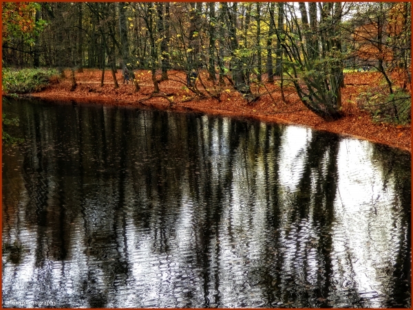 Wenn der Herbstwind übers Wasser huscht