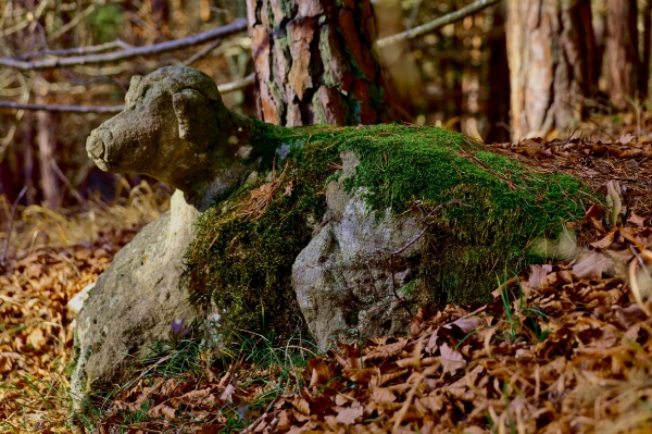 Da hat jemand mitten im Wald...