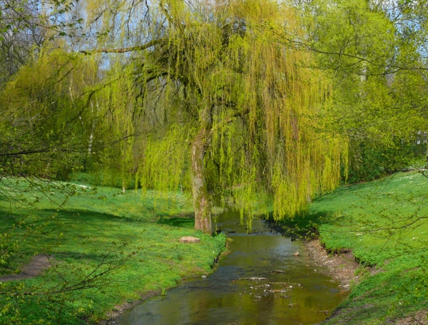 warten auf das Grün