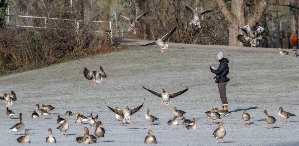 Dieser Vogelflüsterer betreut in Stuttgart