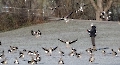 Dieser Vogelflüsterer betreut in Stuttgart