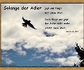 Flieg Adler flieg