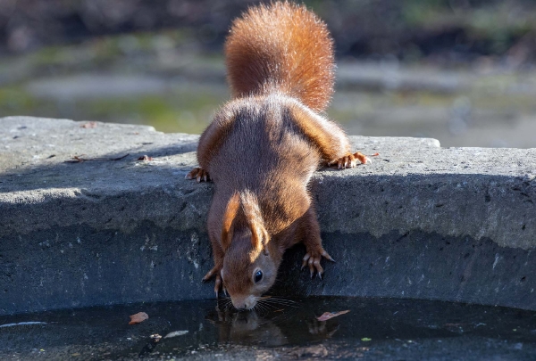 Zum Glück ist der Brunnen aufgetaut