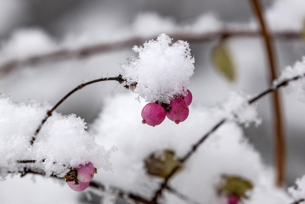 Der Schnee ist leider weg.