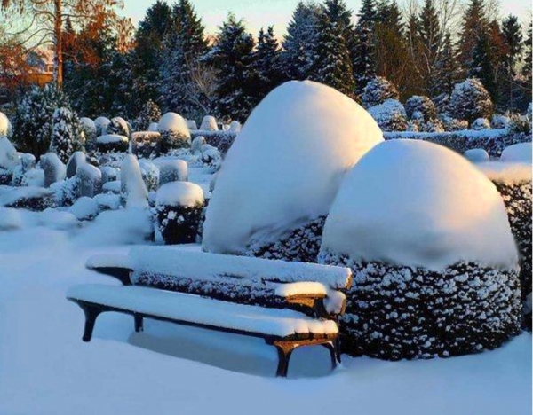 Schneebilder die den Winter schöner machen