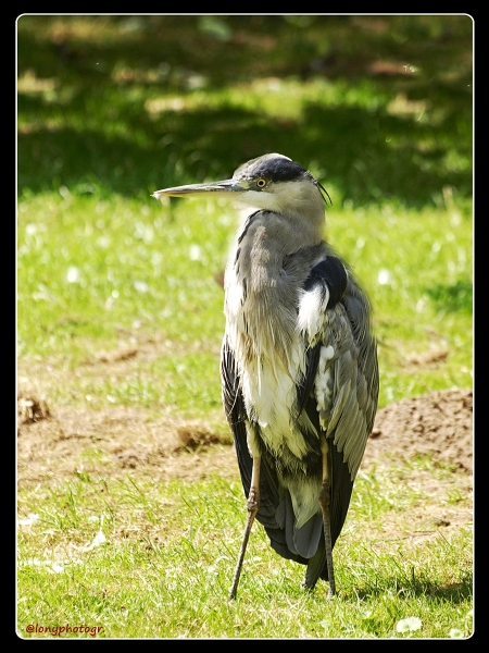 Ob der bis zum Wochenende das Nest 