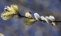 Der Frühling ist nicht mehr zu übersehen