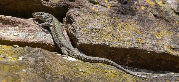 Wegen Corona haben sie im Höhenpark