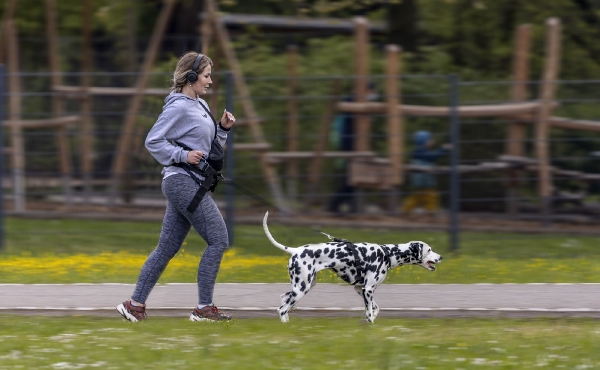 Da sieht man richtig 