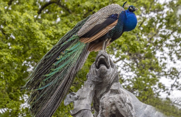 Die Skulptur auf der er sitzt