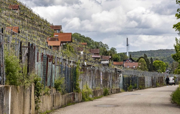 Die Flurstücke des Rebhangs sind sehr schmal