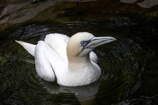 Der wollte sicherlich einen Fisch von mir