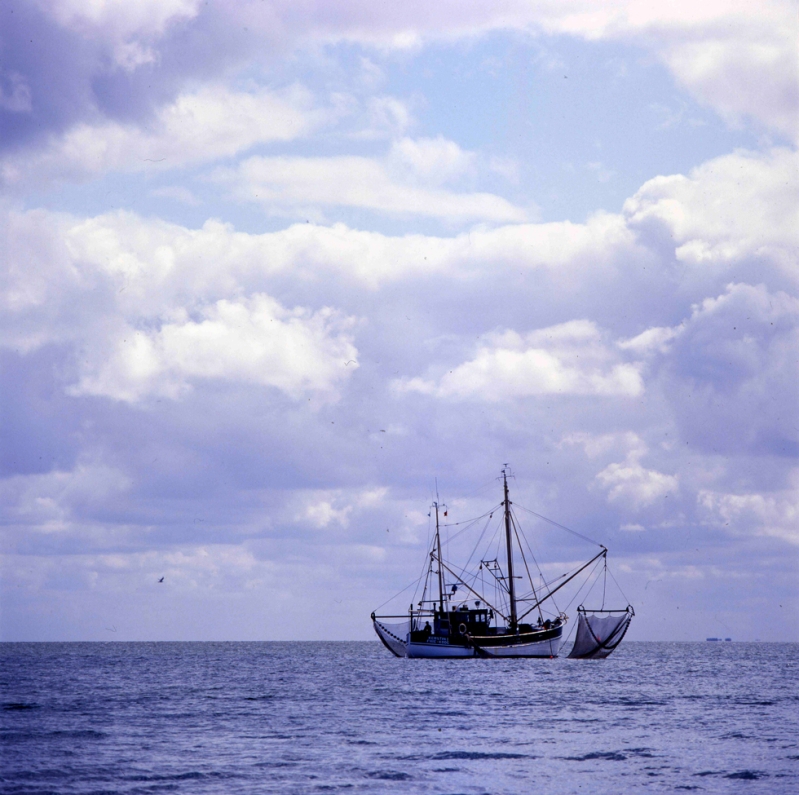 Krabbenkutter v. Föhr Südstrand