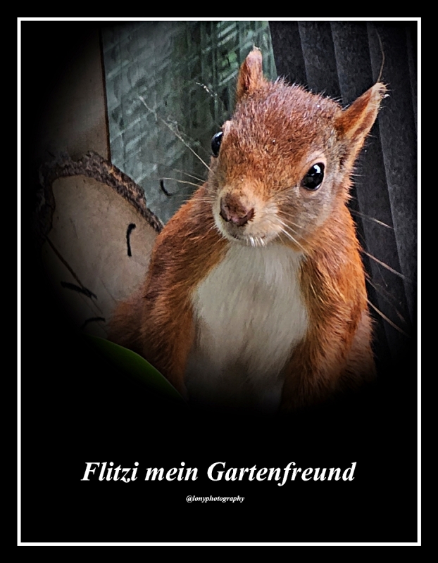 Flitzi mein Gartenfreund