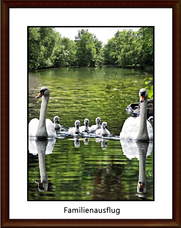 Familienausflug im Stadtpark - See