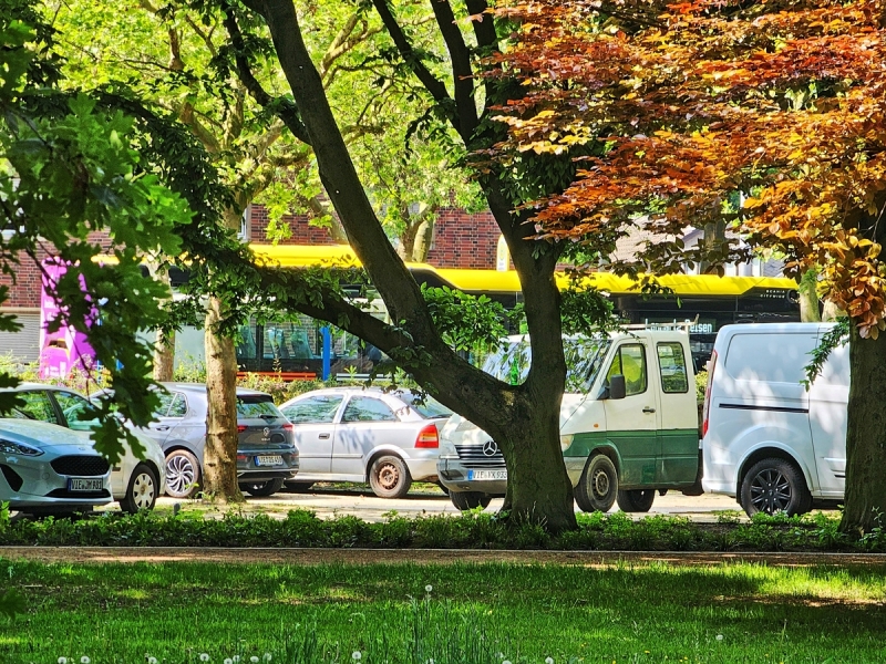 Stadt und Natur