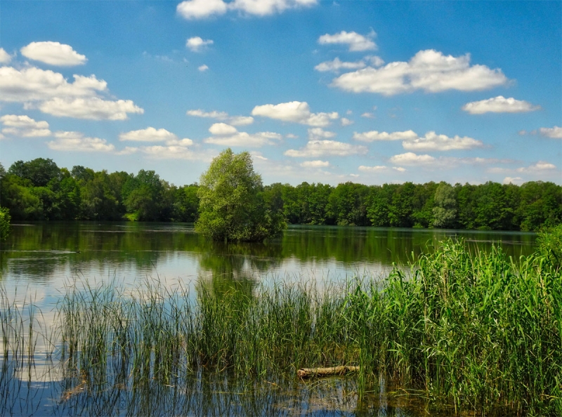 See am Müllberg in Hummelsbüttel