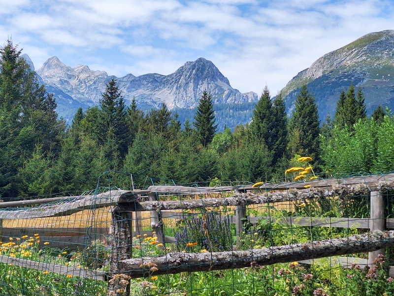 Im Nationalpark im Norden Sloweniens