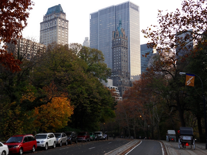 Bin  am Central Park, NY