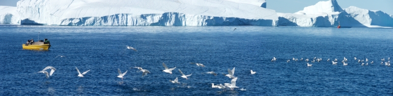 Fischerei vor Ilulissat