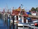 Laboe, Fischereihafen