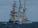 Windjammertreffen zur Hanse Sail