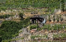 Der Traditionelle Weinanbau ist sehr mühsam und wird hier eigentlich nur noch an den Neckarhängen praktiziert.